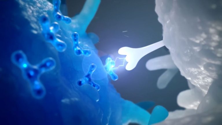 Трансфер фактор. Вводный курс