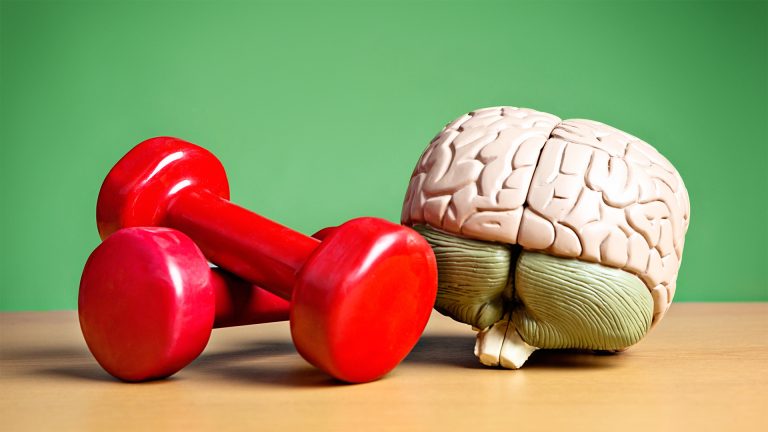 Ключевые точки здоровья: ресурс тела и мозга