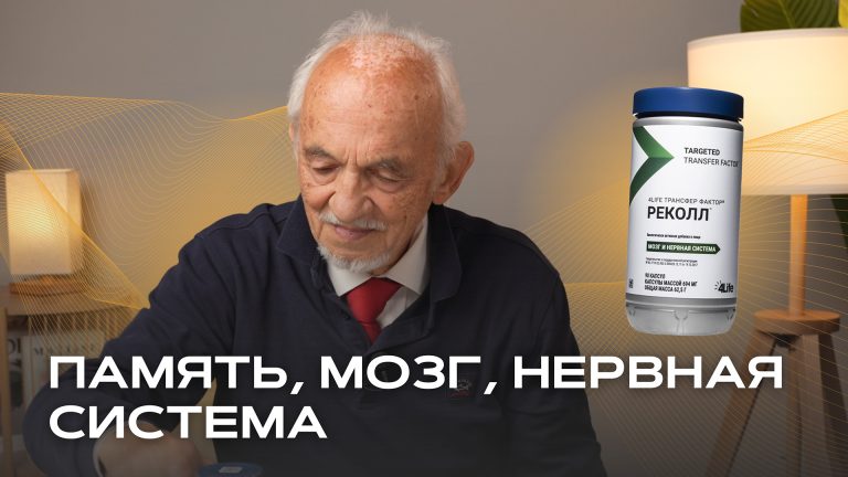 Память, мозг, нервная система