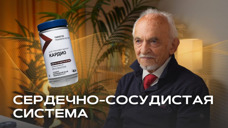 Сердечно-сосудистая система